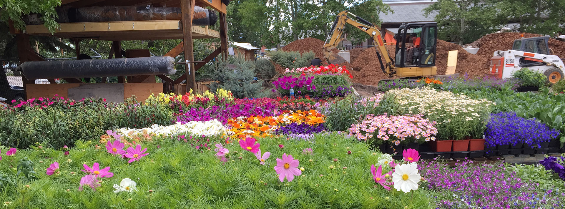 Canmore Garden Center and flowers